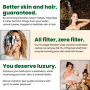 View Eskiin Filtered Showerhead With Filters For Healthy Hair & Skin image 2