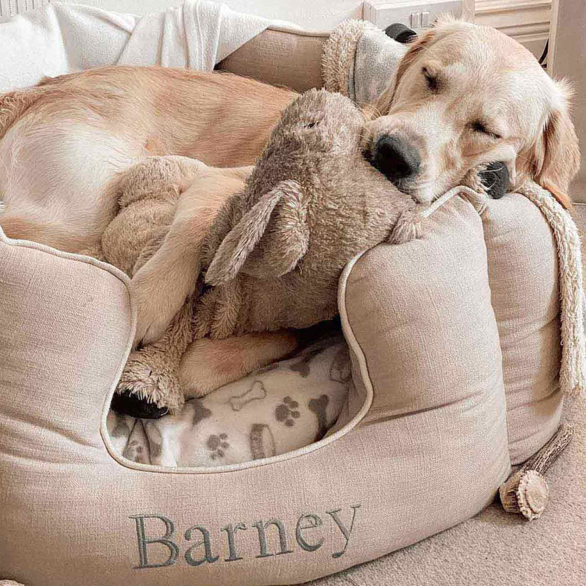 High Wall Bed For Dogs in Savanna – Savanna Oatmeal, Without Personalization pour les activités extérieures