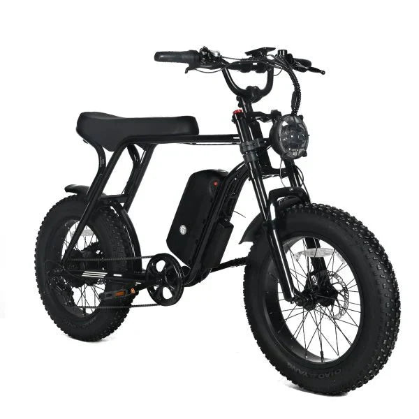 Electric Mountain Bike for Adults | 20 x 4.0 Fat Tires, 1000W Motor, 48V 20Ah Removable Battery, Max Speed 45MPH, Shi Mano 7-Speed for Off-Road