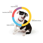 View Embark Dog DNA Test, Breed Identification Kit image 2