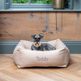 Box Bed For Dogs in Savanna – M, Savanna Bone pour la maison et le jardin