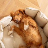 High Wall Bed For Dogs in Savanna – Savanna Oatmeal, Without Personalization pour les activités extérieures