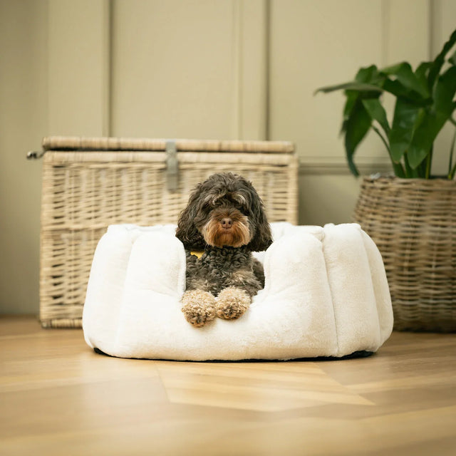 High Wall Bed For Dogs in Calming Anti Anxiety Cream Faux Fur – Without Personalization pour les activités extérieures