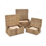 Set of 3 Small Rectangular Seagrass Baskets with Lids, Woven Storage Baskets