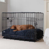 Dog Cushion in Navy Essentials – M, Without Personalization pour la maison et le jardin