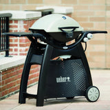 Propane Gas Grill, Titanium