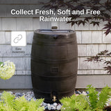 50 Gallon Rain Barrel with Brass Spigot, Large Outdoor Rainwater Collection and Storage Container for Garden