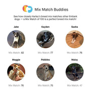 View Embark Dog DNA Test, Breed Identification Kit image 4
