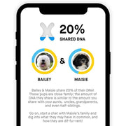 View Embark Dog DNA Test, Breed Identification Kit image 6