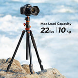90 Inch Ultra High Camera Tripod with Metal Ball Head, Extra Tall Heavy Duty Photography Tripod Stand